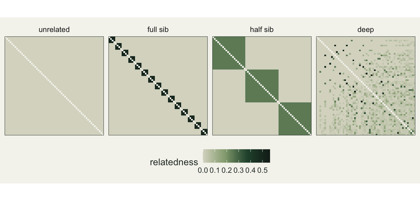 Four bordered square heat maps in a row, each with a pale blank diagonal. The unrelated panel is a uniform pale square. The full sib panel is a chain of small dark squares along the diagonal. The half sib panel has three large mid-green squares along the diagonal. The deep panel has no squares: scattered dark specks, a faint green wash that thickens towards the lower right, and an empty patch in the top left corner.