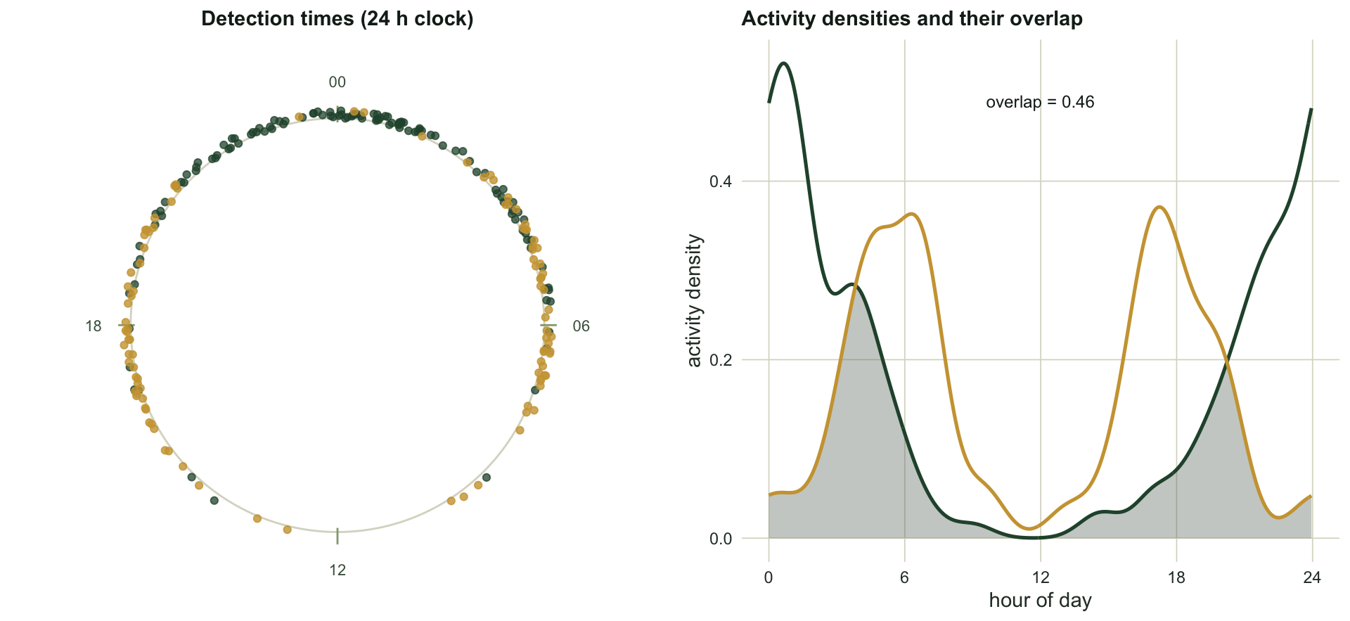 Left panel is a 24-hour clock with green points bunched at the top near midnight and amber points at the six and eighteen o'clock positions. Right panel plots two activity density curves against hour of day; the green curve peaks at midnight, the amber curve has two peaks at dawn and dusk, and the overlap between them is shaded grey.