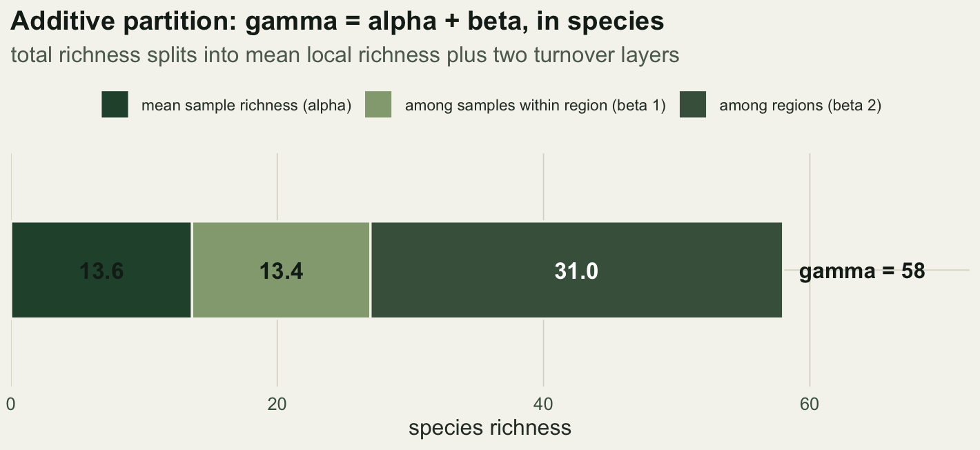 A horizontal stacked bar. A dark segment of 13.6 for mean sample richness, a pale segment of 13.4 for among-sample turnover, and a mid-green segment of 31 for among-region turnover, summing to a gamma of 58.