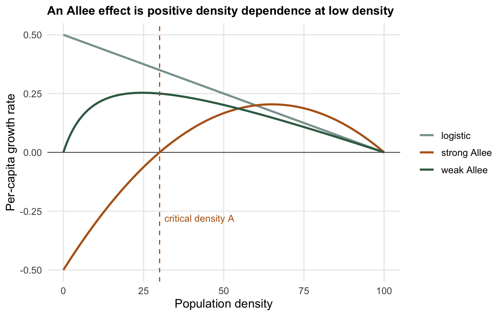 Three per-capita growth curves against density; the grey logistic declines linearly, the green weak-Allee curve dips near the origin but stays positive, the ochre strong-Allee curve is negative below a critical density and positive above it.