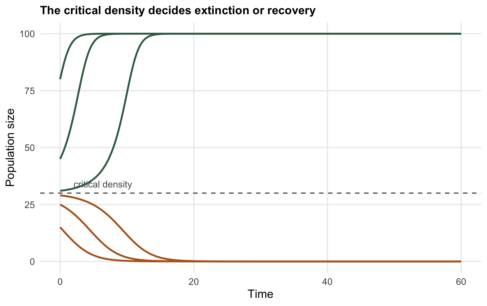 Population trajectories over time from different starting sizes; curves starting below a dashed threshold line decline to zero, curves starting above it rise to carrying capacity.