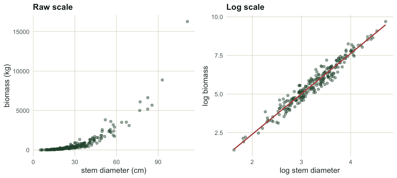 Two panels. The left panel shows a steeply curving cloud of points rising with diameter and fanning out. The right panel shows the same data on log axes as a straight band of points around a fitted line.