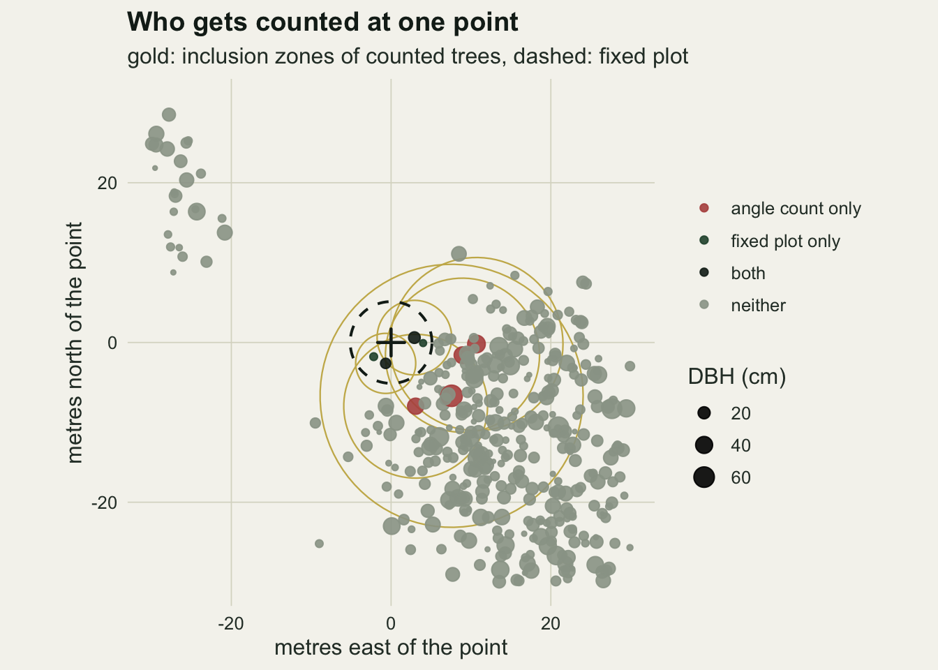 A square map sixty metres across centred on a black cross that marks the sample point, on warm off-white paper. Grey dots sized by diameter show the trees, most of them in a dense cluster to the south-east of the point and a small loose group in the far north-west corner. A dashed black circle about five metres in radius around the point is the fixed plot, holding two dark trees counted by both designs and two small green trees counted only by the plot. Four larger rust trees outside the dashed circle, between about three and twelve metres to the east and south-east, are counted only by the angle gauge. Six thin gold circles, one around each tree the gauge counts, all enclose the cross; the largest is about sixteen metres in radius.
