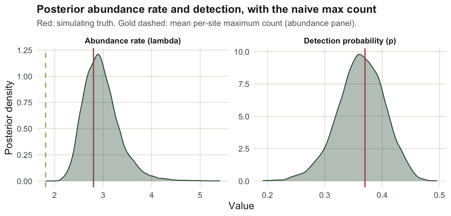Two density panels. Abundance rate is centred near 2.9 with truth at 2.8 and the naive mean maximum count near 1.8 to the left. Detection is centred near 0.36.