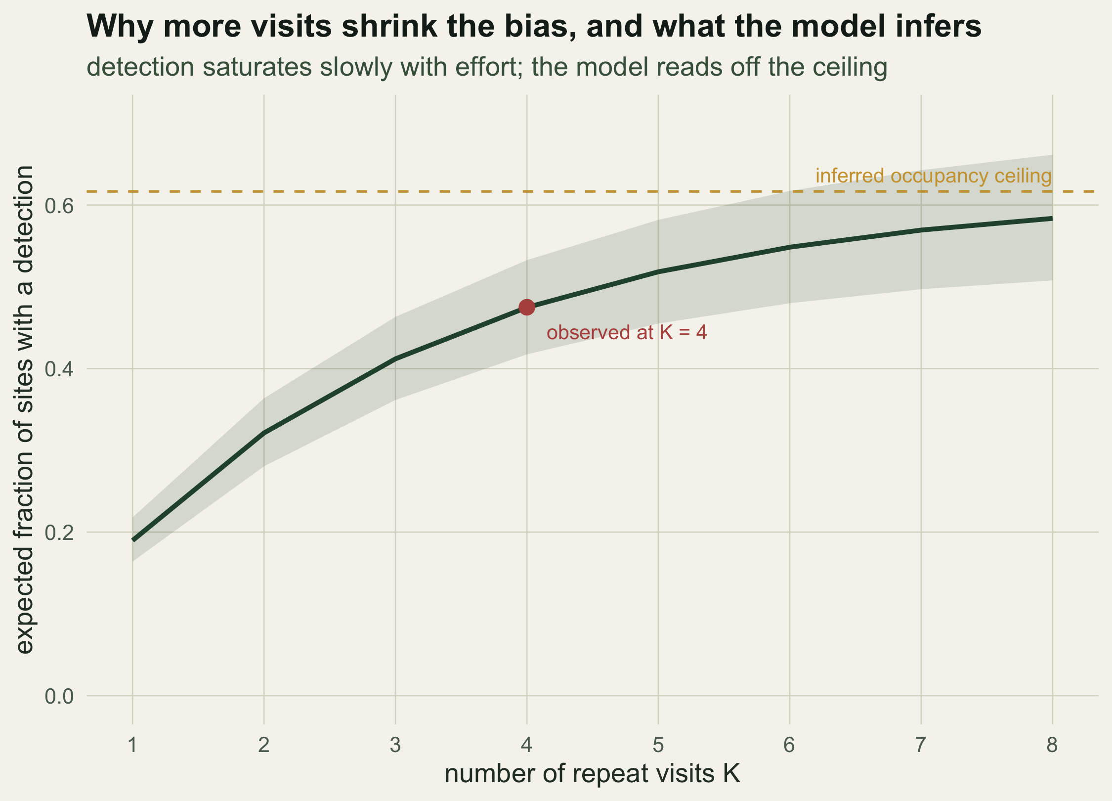A rising curve of expected detected fraction against number of visits from one to eight, with a shaded band. A red point at four visits sits on the curve near 0.48. A horizontal dashed gold line near 0.62 marks the occupancy ceiling the curve approaches.