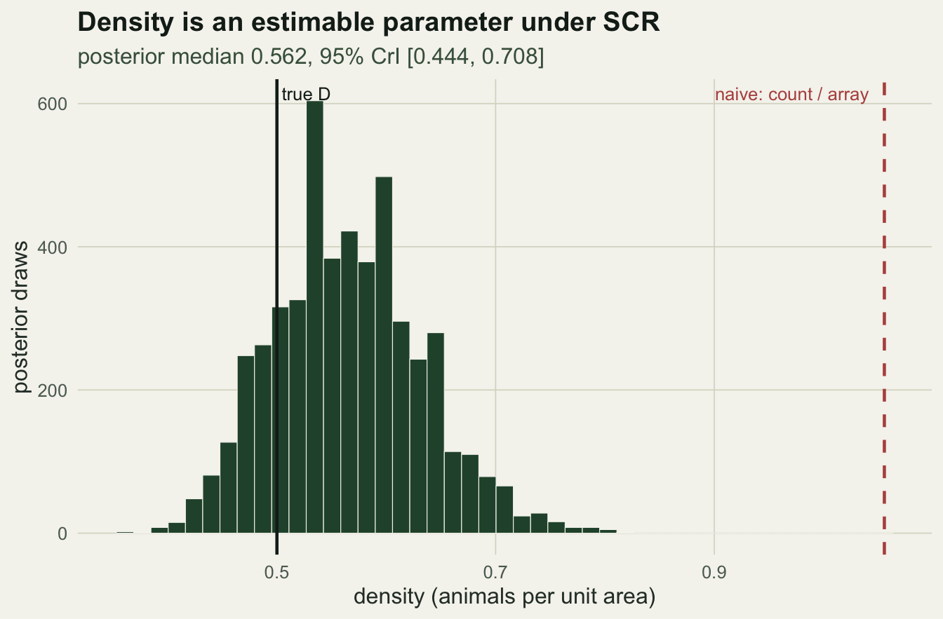 A green histogram of the density posterior peaking near 0.55, with a solid vertical line at the true density of 0.5 inside the bulk and a dashed vertical line near 1.05 marking the naive array-footprint density far to the right.