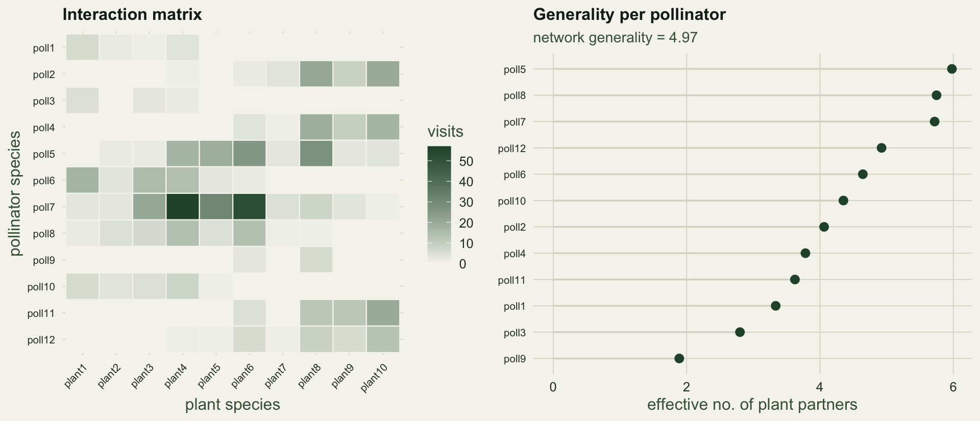 A twelve by ten heatmap of visit counts, and a ranked lollipop plot of effective plant partners per pollinator rising from about two to about eight.