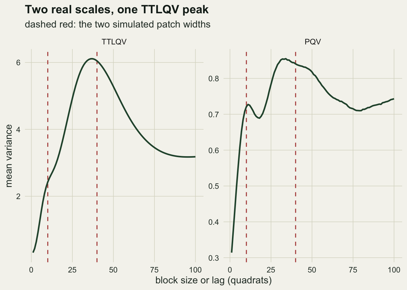 Two side-by-side panels on warm off-white paper of mean variance against block size or lag from 1 to 100 quadrats, with dashed red vertical lines at 10 and 40. The TTLQV panel shows one smooth hump: it rises from near zero, passes the line at 10 with only a slight bend, peaks at about six near 37 and falls to about 3.2 by 100. The PQV panel rises steeply to a small peak of about 0.73 just past 10, dips to about 0.69 near 18, climbs to its highest value of about 0.85 near 34, then declines slowly past 40 to about 0.71 near 80 and turns up slightly at the right edge.