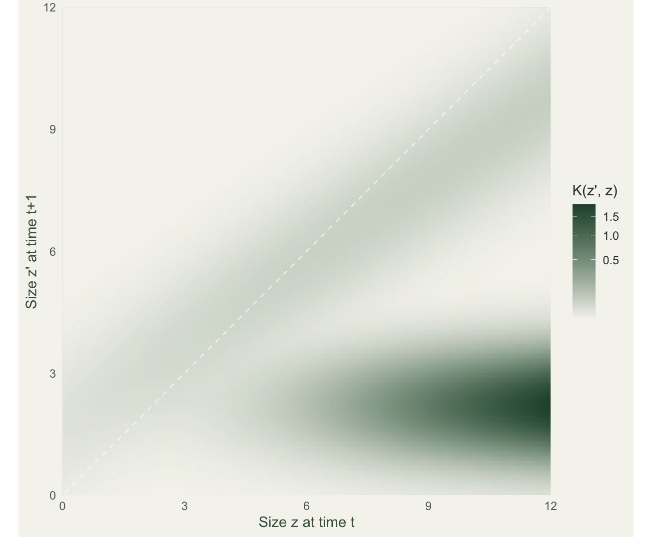 Heatmap of the projection kernel over size now and size next year, with a diagonal survival-growth ridge and a low-size fecundity band.