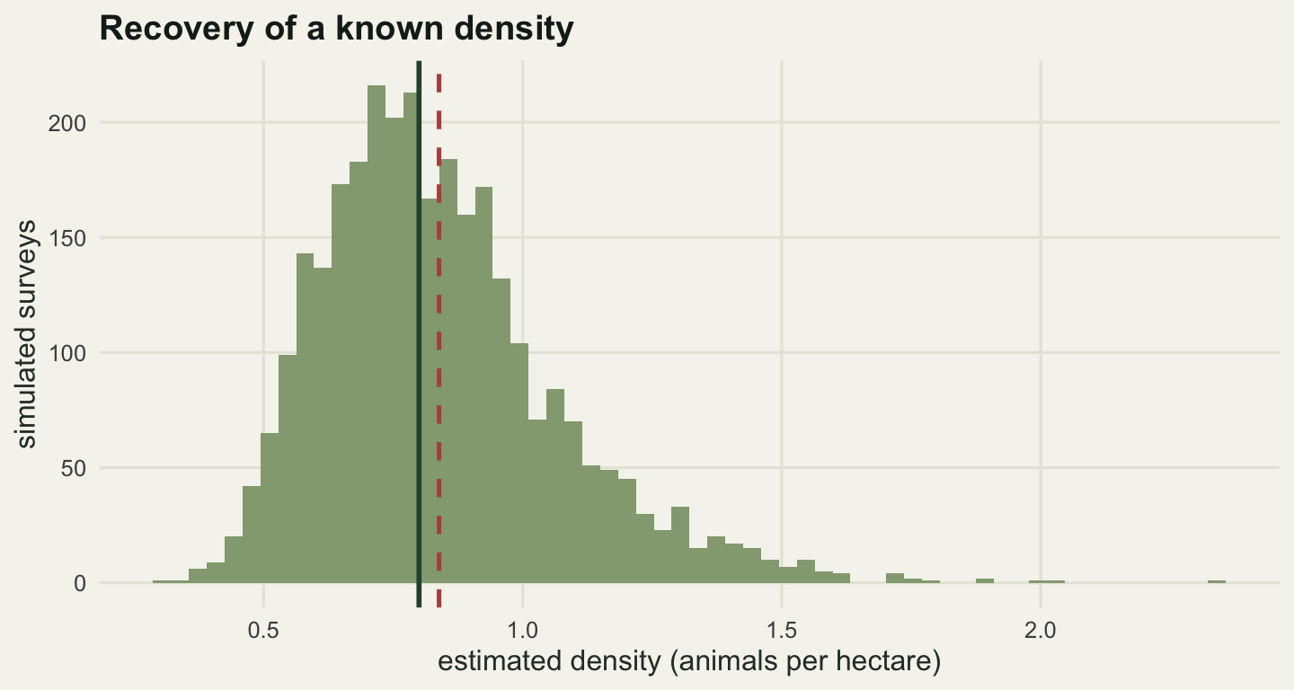 Histogram of density estimates, right-skewed, centred close to the true density of 0.8 animals per hectare, with a solid vertical line at the truth and a dashed line at the mean estimate slightly to its right.