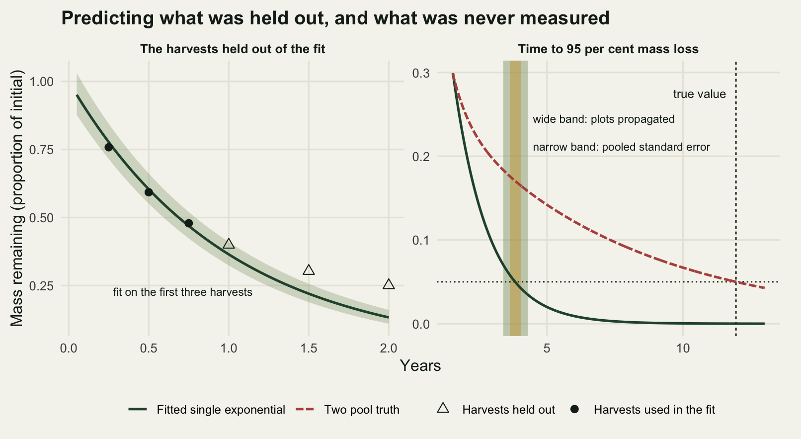 Two panels of mass remaining against time. The left panel spans zero to two years. A dark green curve fitted to the first three harvests runs close to three filled circles at three, six and nine months and then continues downwards, with a pale sage band around it that widens slowly. An open triangle at one year sits just inside the top edge of the band; two further triangles at one and a half and two years sit clear above it, the last one far clear. A small dark text label below the band reads that the fit uses the first three harvests. The right panel spans about one and a half to thirteen years with mass from zero to thirty per cent, so both curves enter from the left edge partway down. A dashed red-brown curve, the two pool truth, falls and then flattens into a long tail; a solid dark green curve, the fitted single exponential, crosses it and keeps falling to nearly zero. A dotted horizontal line marks five per cent mass remaining. The green curve reaches it a little before four years and the red-brown one just before twelve years, where a dashed vertical line is labelled true value. Around four years two shaded vertical bands run the full height of the panel, a wide pale sage one and a narrower gold one inside it, with their labels stacked to the right.
