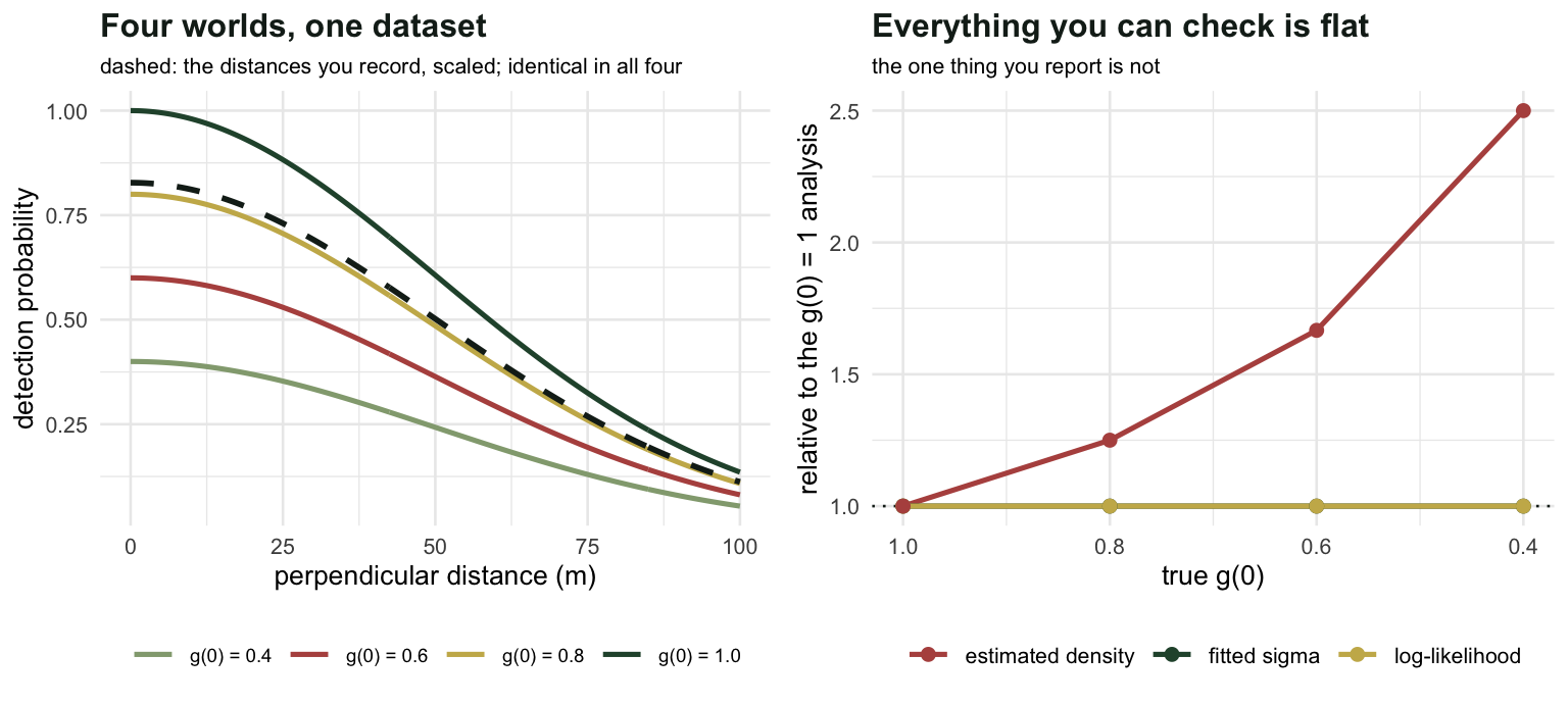 Left panel shows four detection curves at different heights, all producing one identical density of observed distances. Right panel shows the fitted sigma and log-likelihood flat across g(0) while density rises steeply.