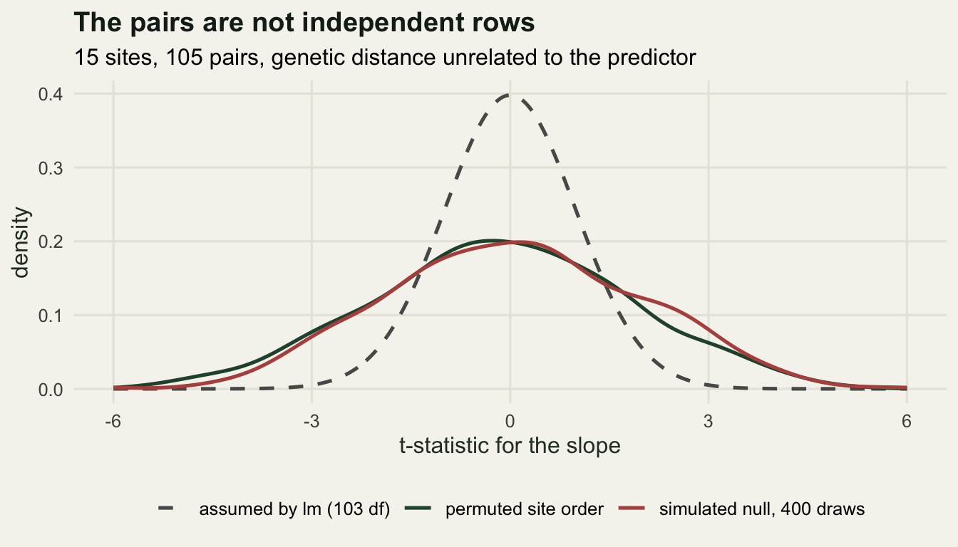 Two wide overlapping density curves for the simulated and permuted t-statistics, both far broader than a narrow dashed reference curve peaking at zero.