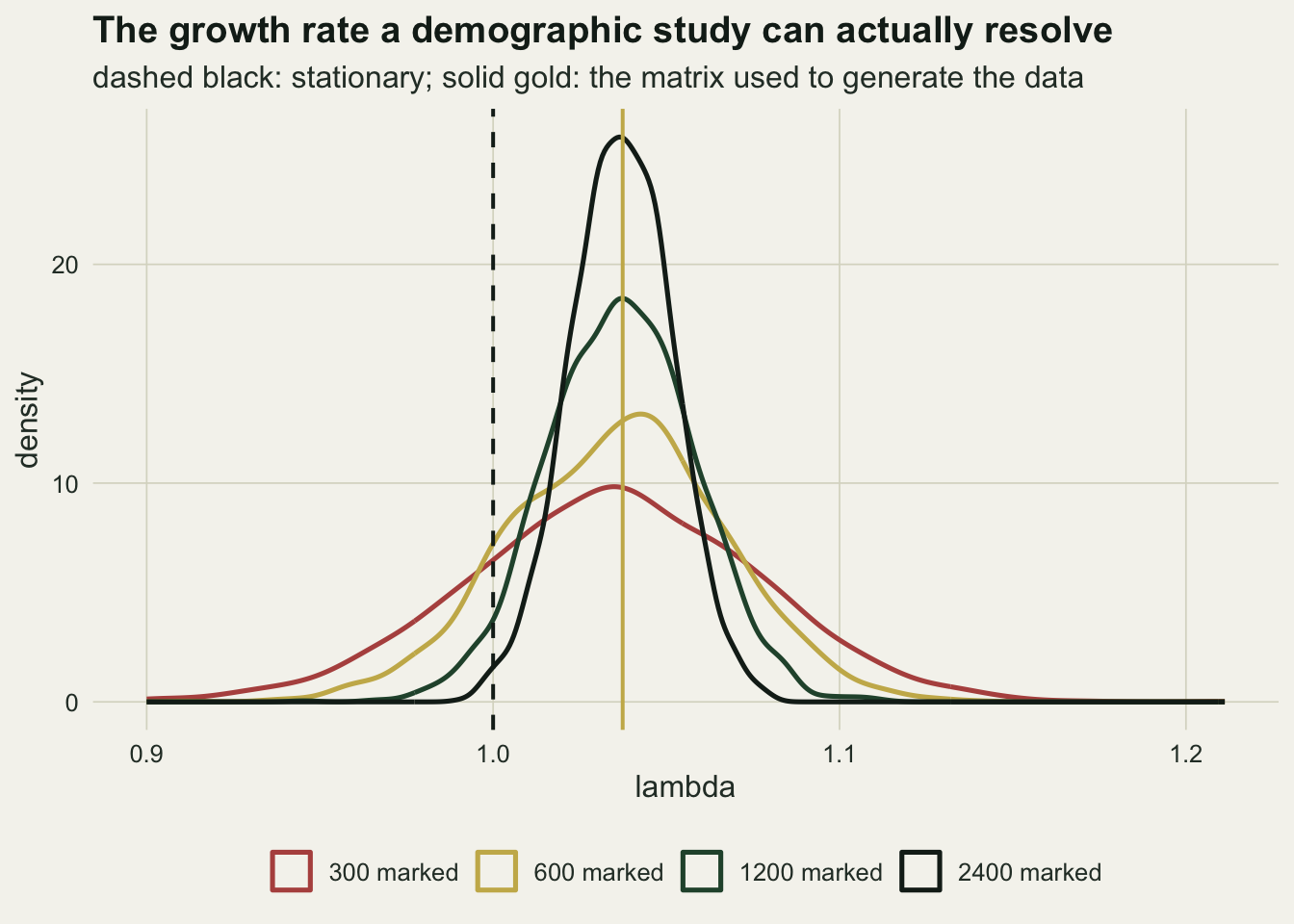 Four overlaid density curves of bootstrapped lambda, each narrower and taller than the last as the number of marked individuals rises. A dashed vertical line at one sits well inside the three widest distributions and at the left edge of the narrowest, and a solid gold line marks the generating value slightly to its right.