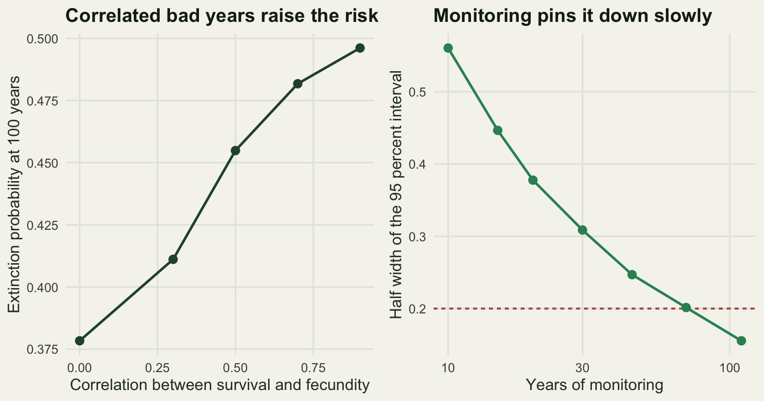Two panels. The left panel shows extinction probability rising from about thirty eight percent at zero correlation to about fifty percent at a correlation of nine tenths. The right panel shows the interval half width falling from above half at ten years of monitoring and crossing the two tenths target somewhere near seventy years.