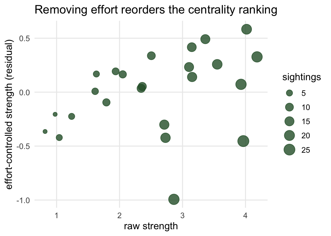 A scatter plot with raw network strength on the x axis and effort-controlled strength on the y axis. Points do not lie on a single line; several well-sighted individuals sit lower than their raw strength would suggest, showing that controlling for sighting effort reorders the ranking.