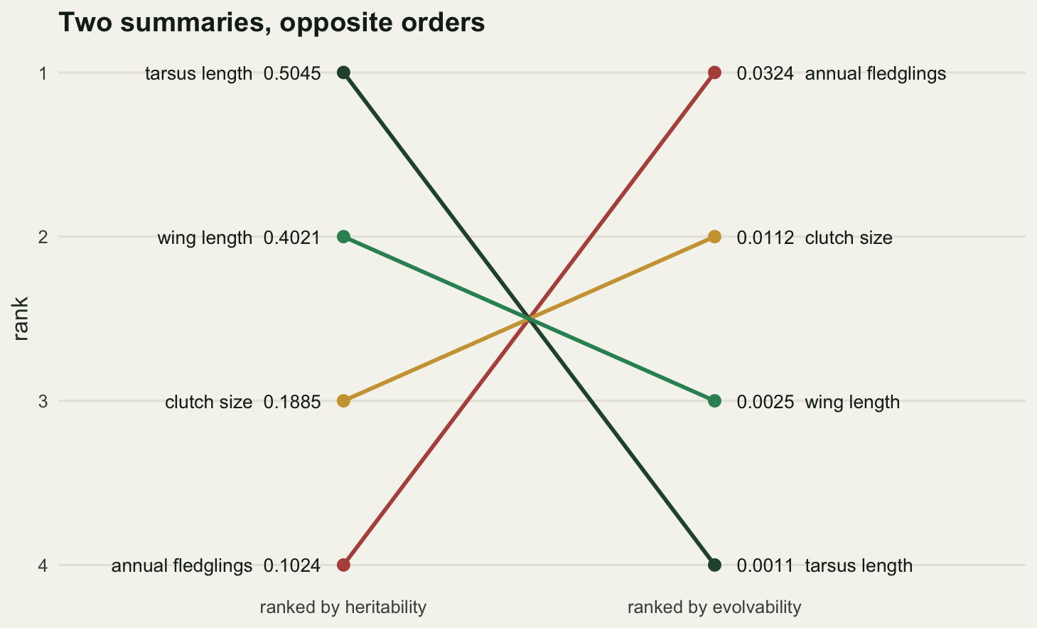 A slope chart with two columns of points, one column for each ranking. Two of the four lines travel the full height of the panel: dark green tarsus length falls from rank 1 on the left to rank 4 on the right, and brick red annual fledglings climbs from rank 4 to rank 1. The other two only swap adjacent places, so they are shallow: mid green wing length slips from rank 2 to rank 3 and gold clutch size lifts from rank 3 to rank 2. All four meet in a tight bundle near the middle of the panel.