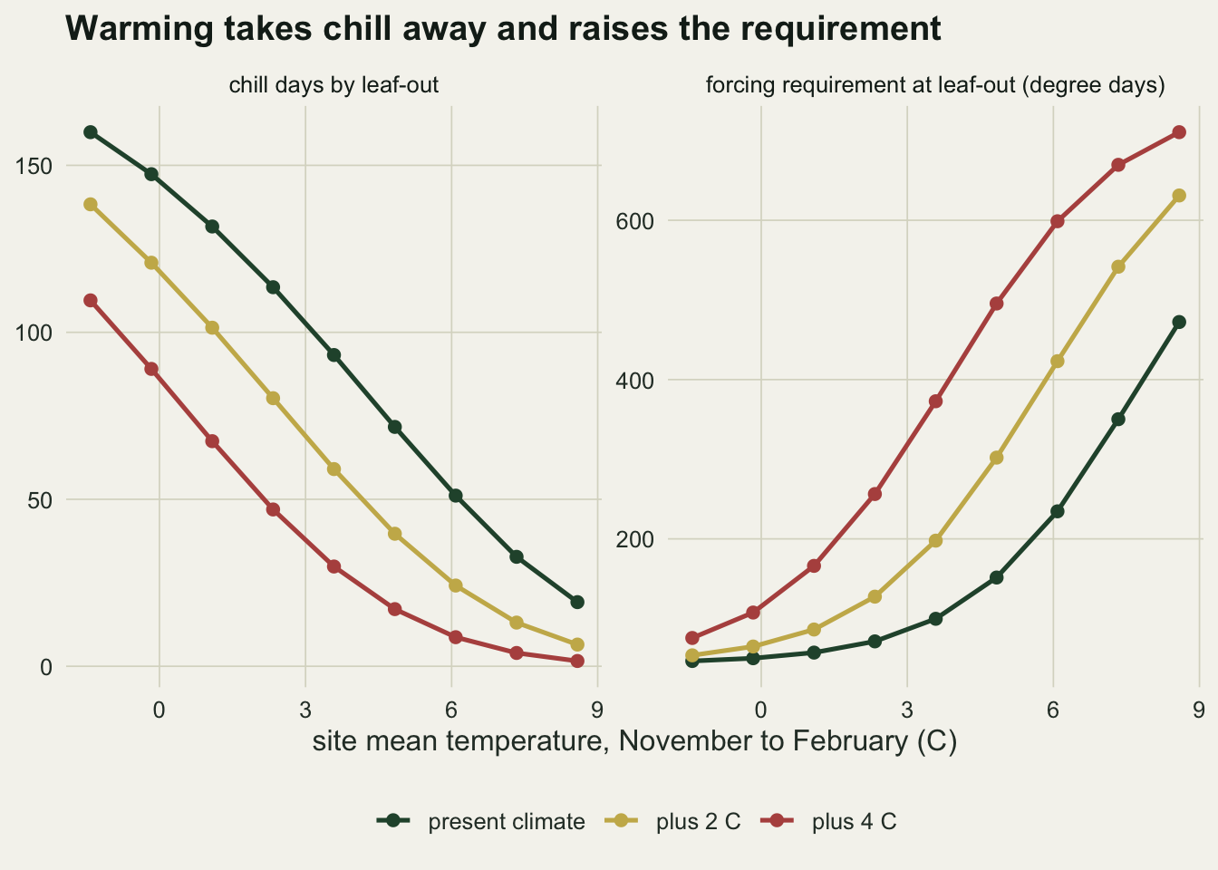 Two line panels on warm off-white paper against site mean temperature from November to February, from about -1.4 to 8.6 C. Left, chill days by leaf-out: three falling lines, dark green for the present climate from 160 at the coldest site to 19 at the mildest, gold for plus 2 C from about 138 to 7, and red for plus 4 C from about 110 to 2. Right, the forcing requirement at leaf-out in degree days: three rising lines, green from about 47 to 472, gold from about 54 to 631 and red from about 76 to 711, the red line climbing most steeply between winter means of 1 and 6 C.