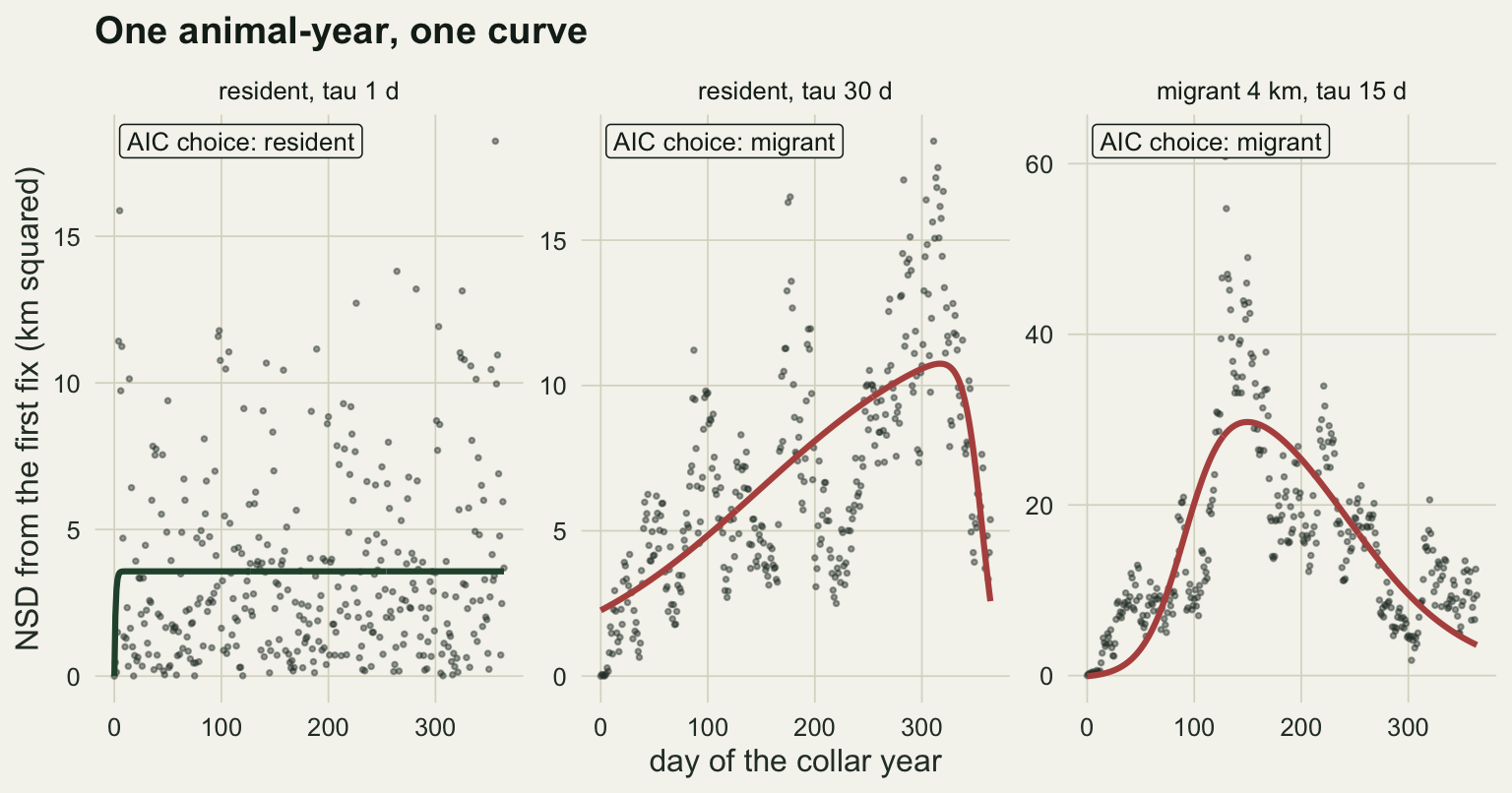 Three scatter panels of daily net squared displacement in km squared against day of the year, each with one fitted curve. Left, a resident with tau of 1 day: points scatter between 0 and about 18 with no pattern and a dark green resident curve jumps to a flat plateau near 3.5. Middle, a resident with tau of 30 days: points drift upward in slow swings from near 0 to around 15 by day 300 and then drop, and a red migrant curve rises gently across the year and falls steeply after day 320. Right, a 4 km migrant with tau of 15 days: points climb to a peak of about 45 to 55 around day 130 and decline, and a red migrant curve follows a hump peaking near 30.
