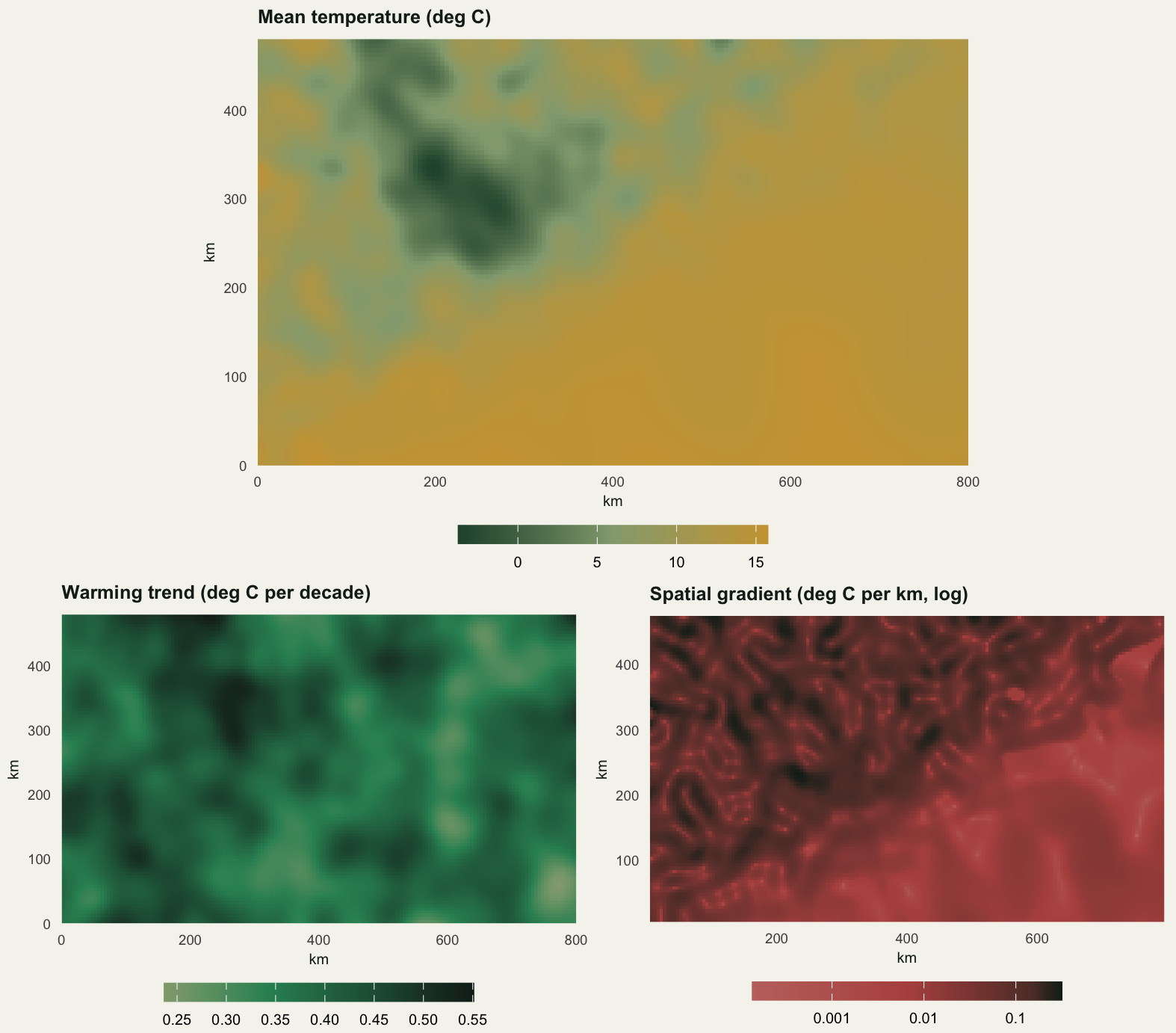 Three maps of the same domain, 800 km wide and 480 km tall, one above and two below, each with its own colour bar. The upper map shows mean temperature: a cold dark green blotch covering roughly the upper left quarter of the panel, sitting on the highest ground of the mountainous north west half, and a uniform warm gold over the rest, with a legend running from about minus four to about sixteen degrees. The lower left map shows the fifty year warming trend as a smooth mottled field with a legend spanning roughly 0.25 to 0.55 degrees per decade, pale where the trend is weak and near black where it is strong, and with no obvious relation to the mountains. The lower right map shows the spatial gradient on a log scale from 0.001 to above 0.1 degrees per km, in a single rose hue on the same pale to near black convention: pale over the south eastern plain, and a dense worm-like tangle of near black over the mountainous north west half, with a few pale specks in the plain where the gradient nearly vanishes.