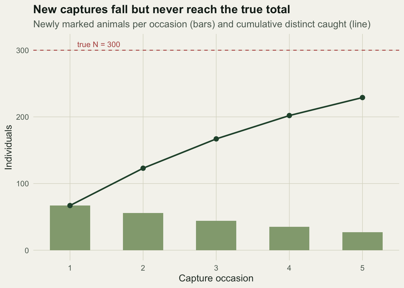 Bar chart of new captures per occasion falling from 67 to 27, with a cumulative line rising to 229 and staying below a dashed line at the true total of 300.