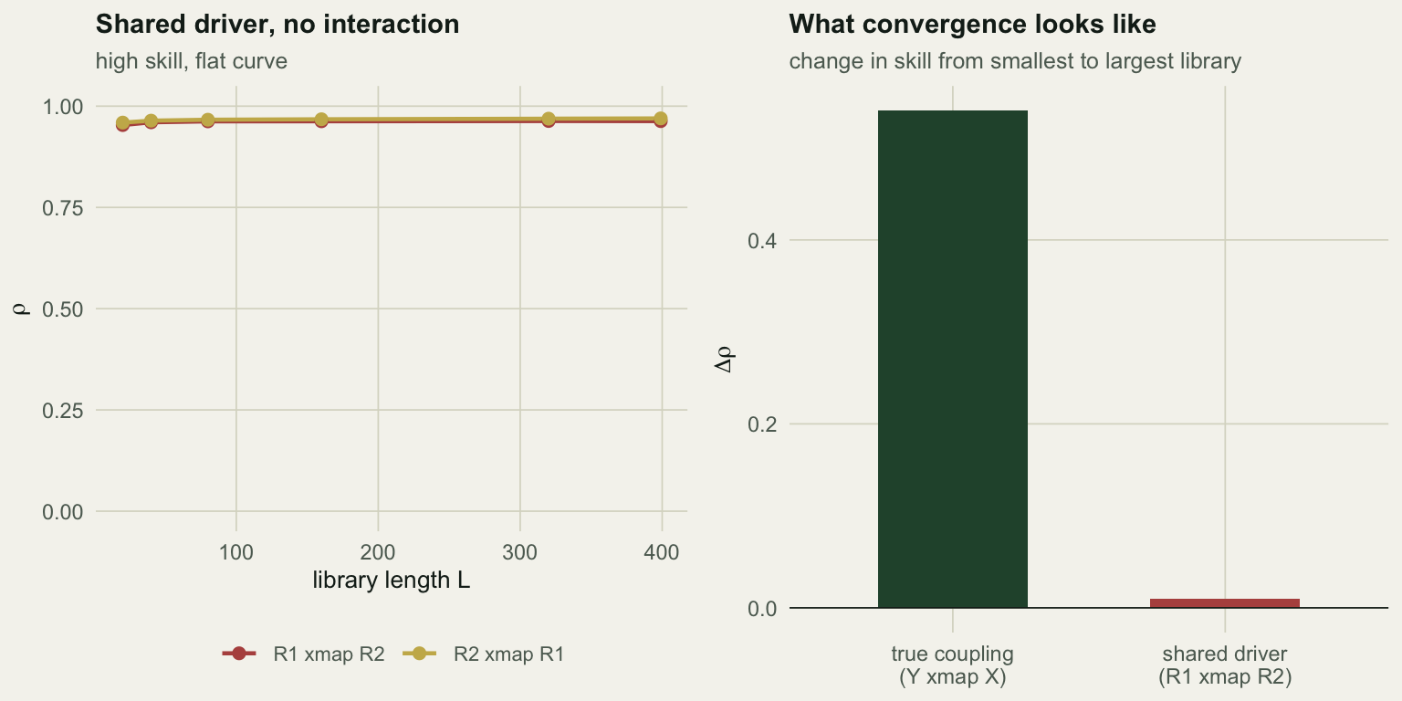 Left panel: two flat lines near 0.96 across all library lengths for species sharing a driver. Right panel: a bar chart comparing the change in skill from the smallest to the largest library, large for the true coupling and near zero for the shared driver pair.