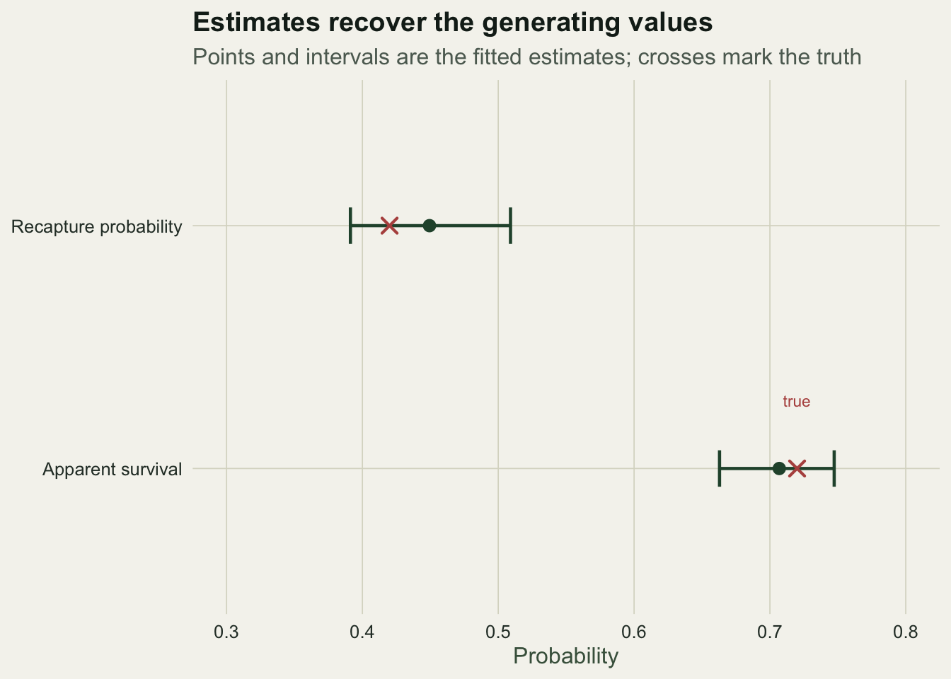 Two horizontal estimate ranges for apparent survival near 0.71 and recapture near 0.45, each with a confidence interval bracketing a cross that marks the generating value.