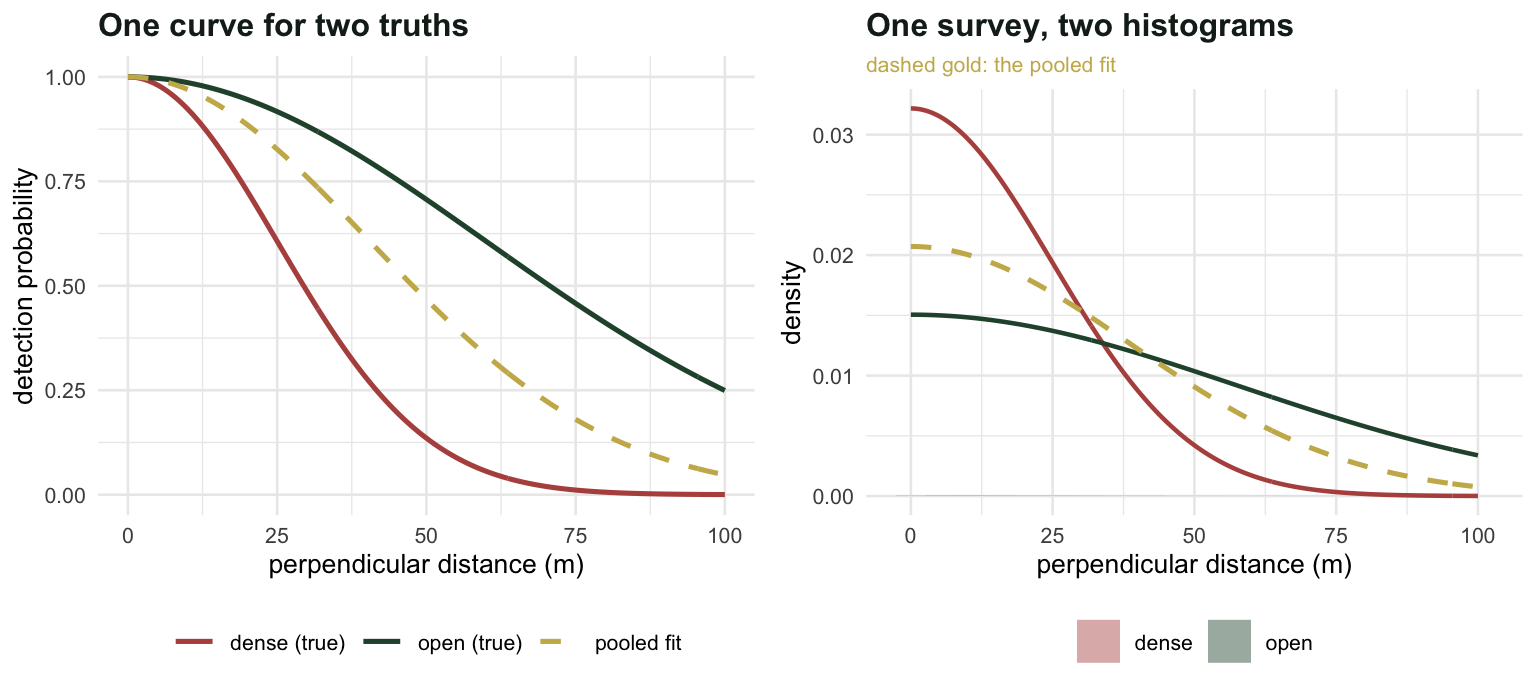 Left panel shows two half-normal detection curves, a wide one for open habitat and a narrow one for dense habitat, with a pooled curve lying between them. Right panel shows histograms of detection distances for the two strata with fitted curves overlaid.