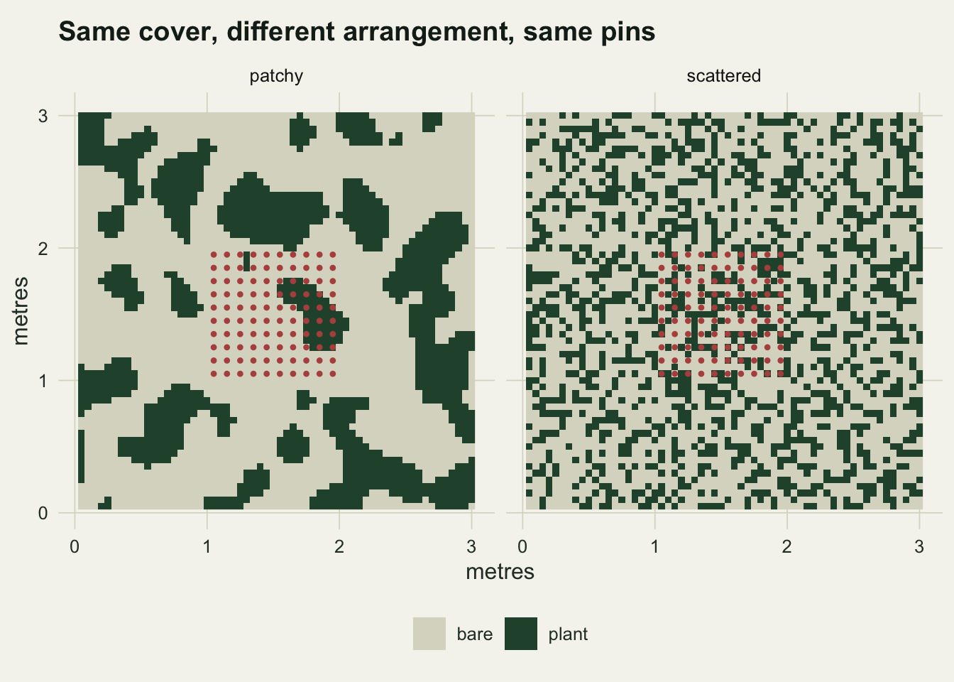 Two square maps side by side, each three metres across, showing occupied cells in dark green on a pale background. The left panel, labelled patchy, gathers the green into irregular masses with open ground between them; most of the green sits in masses between half a metre and a metre and three quarters across, with smaller specks scattered between them. The right panel, labelled scattered, holds the same amount of green broken into single cells sprinkled evenly over the whole square with no visible structure. A ten by ten grid of small red dots, the pin positions, is drawn over the middle of each panel at ten centimetre spacing. In the left panel most of the grid falls on open ground, with one green mass covering the right-hand part of the grid across its middle rows and running just past its right edge; that one mass catches sixteen of the hundred pins, and those pins record what their neighbours record. In the right panel every dot sits on its own.