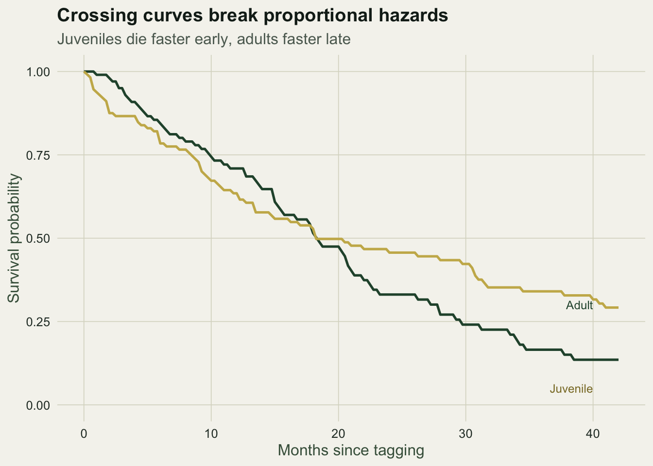 Two survival step curves that start apart, with the juvenile curve dropping faster early, then intersect near the middle of the follow-up as the adult curve overtakes it.