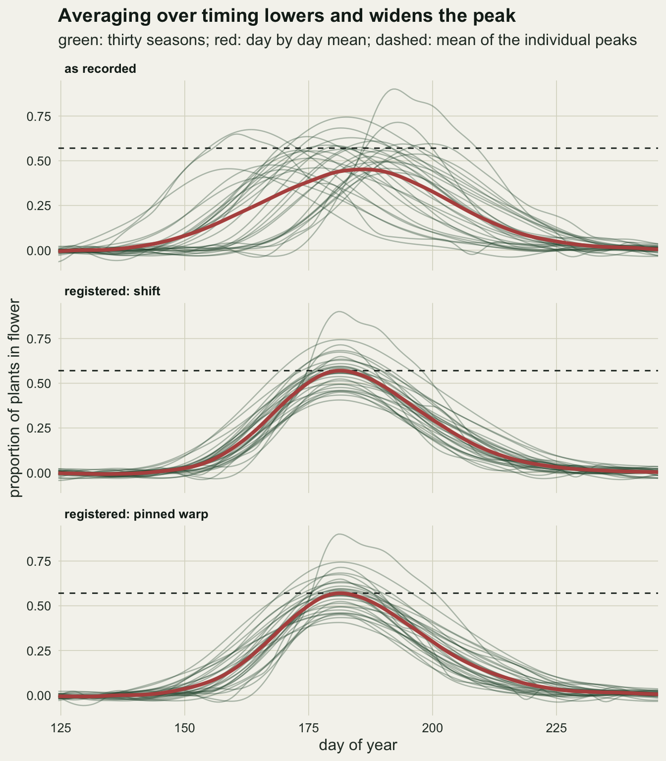 Three stacked panels on warm off-white paper, day of year from 125 to about 245 on the horizontal axis and proportion of plants in flower from zero to about nine tenths on the vertical axis, each with a dashed black line at about 0.57. In the top panel, as recorded, thirty thin translucent green humps peak on different days between about 158 and 196, and a thick red mean curve rises slowly to a low, broad peak of about 0.45 near day 185, well under the dashed line. In the middle panel, registered by a shift, and the bottom panel, registered by a pinned warp, the thirty green humps all peak near day 181, stacked at different heights, and the thick red mean curve is narrower and touches the dashed line at its peak. The two registered panels look almost the same at this scale.