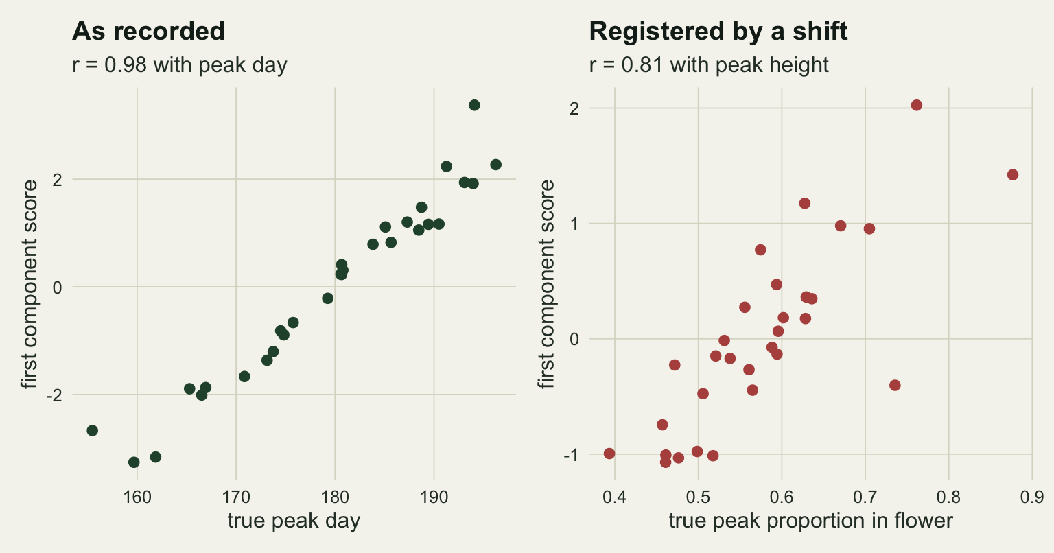 Two scatter plots side by side on warm off-white paper, each with thirty points and a first component score on the vertical axis. The left panel, as recorded, has dark green points against the true peak day from about 155 to 196, lying close to a straight rising pattern from about minus three to about three, with the subtitle r = 0.98 with peak day. The right panel, registered by a shift, has red points against the true peak proportion in flower from about 0.4 to 0.88, rising from about minus one to about two with visibly more scatter and one point near 0.74 sitting low at about minus 0.4, and the subtitle r = 0.81 with peak height.