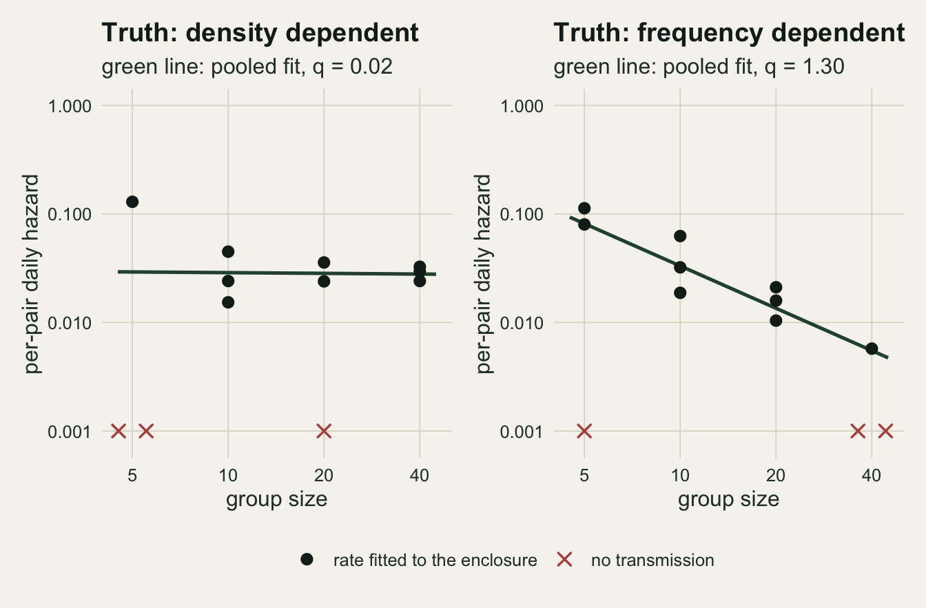 Two panels on warm off-white paper plotting per-pair daily hazard on a log axis against group size 5, 10, 20 and 40. In the left panel, truth density dependent, dark dots for single enclosures scatter around a flat green line from the pooled fit with q of 0.02, one dot at group size 5 sitting high near 0.13. In the right panel, truth frequency dependent, the dots fall from about 0.1 at size 5 to about 0.006 at size 40 along a green line of q 1.30. Red crosses on the bottom edge at 0.001 mark enclosures with no transmission, set slightly apart where two share a size: two at size 5 and one at size 20 on the left, one at size 5 and two at size 40 on the right.