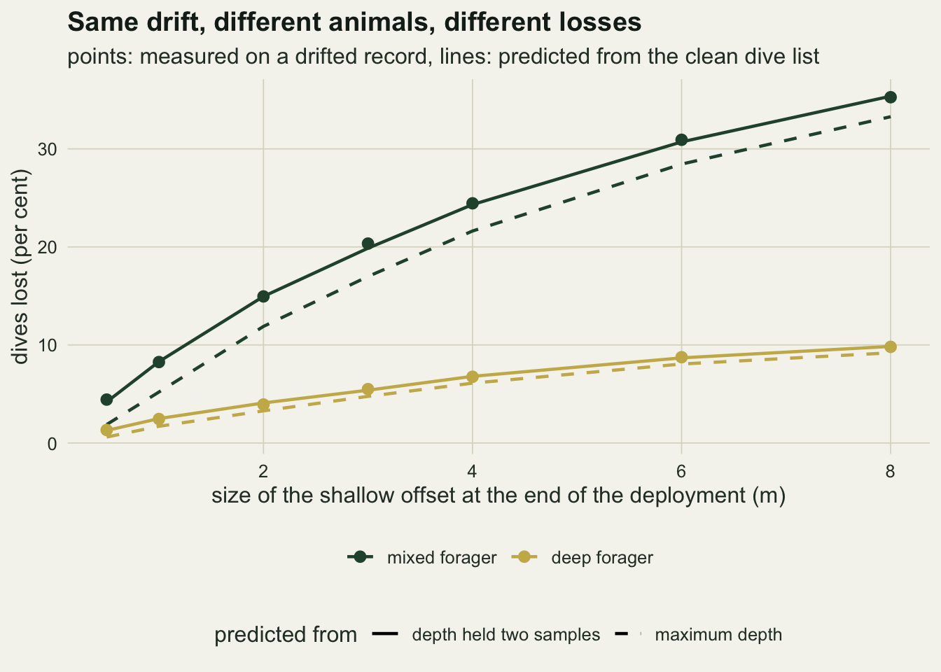 A line chart of the percentage of dives lost against the size of the shallow offset at the end of the deployment, from half a metre to eight metres. Dark green points for the mixed forager rise from about four per cent to about thirty five per cent along a curve that bends over, sitting on a solid green line for the prediction from the depth held for two samples, with a dashed green line for the maximum depth prediction running about two to three points below. Gold points for the deep forager rise gently from about one per cent to about ten per cent, on a solid gold line with a dashed gold line just beneath it.