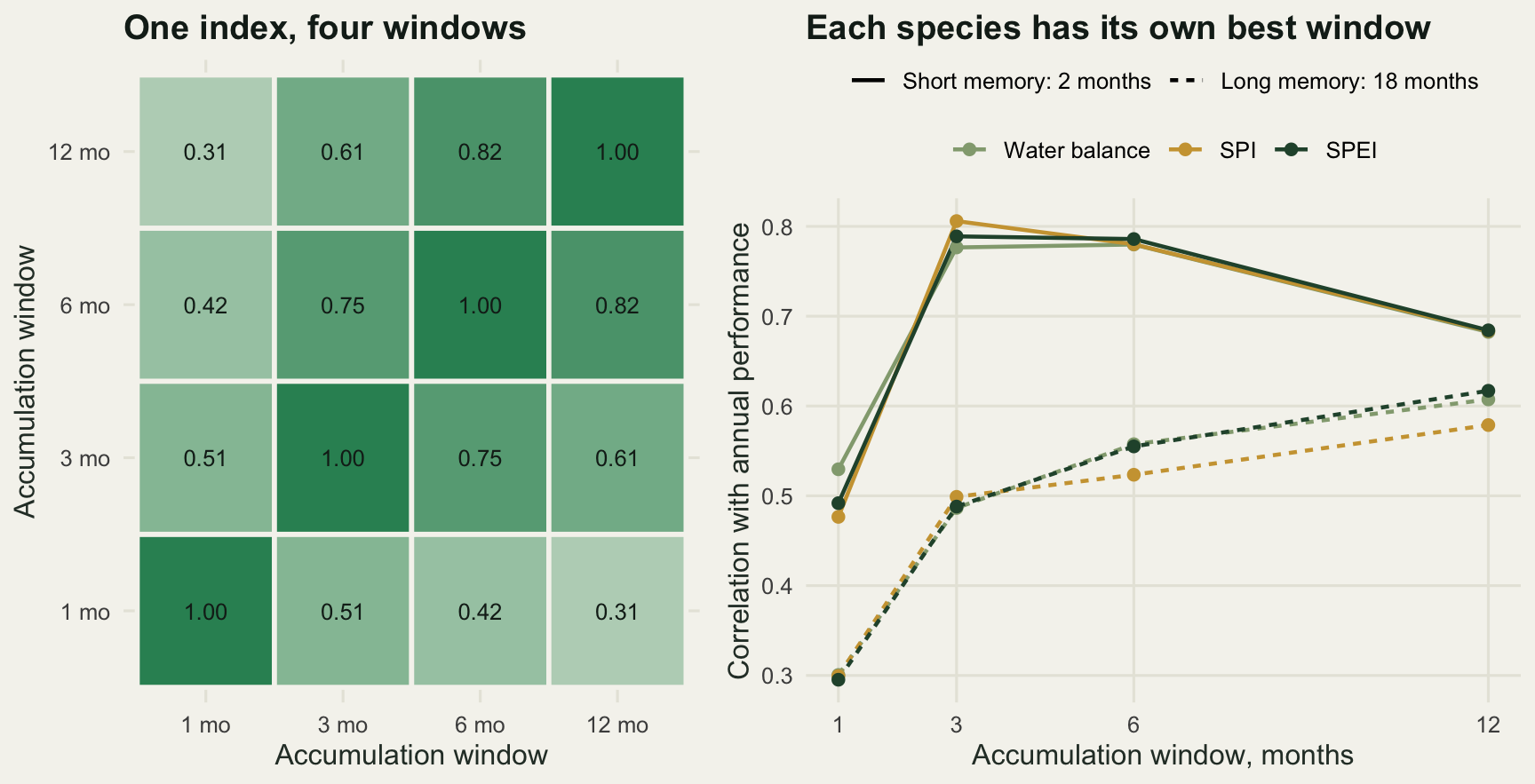 Two panels. The left is a four by four shaded matrix of correlations whose off-diagonal values fall from strong next to the diagonal to weak in the corners. The right shows six lines rising from low correlations at a one month window; the short memory species peaks between three and six months and falls away at twelve, while the long memory species rises steadily to its highest value at twelve months.