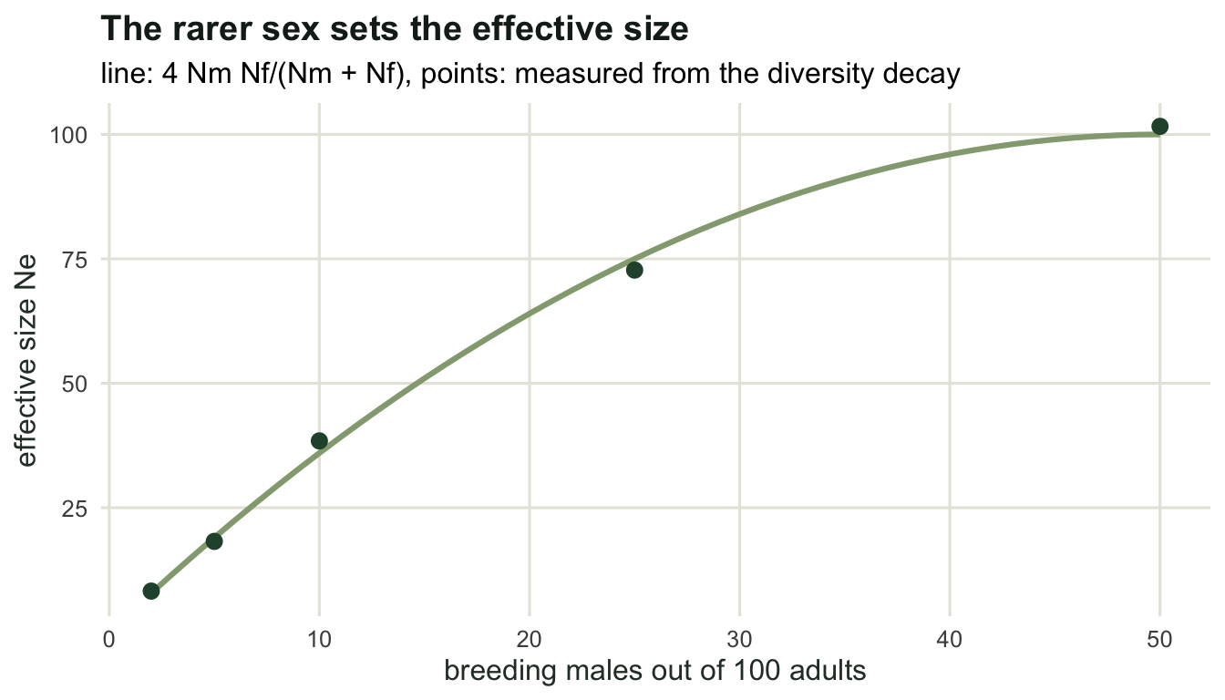 A rising curve from about eight at two males to 100 at fifty males, with five simulated points sitting on the line.