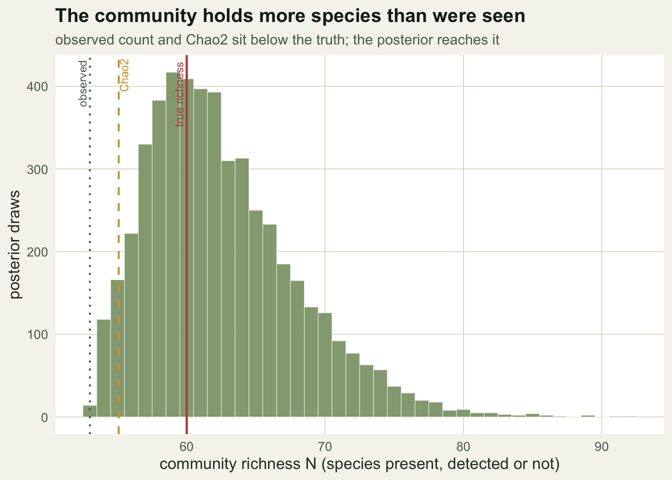 A histogram of posterior richness draws; dotted line at the observed count and dashed line at Chao2 both sit below a solid line at the true richness.