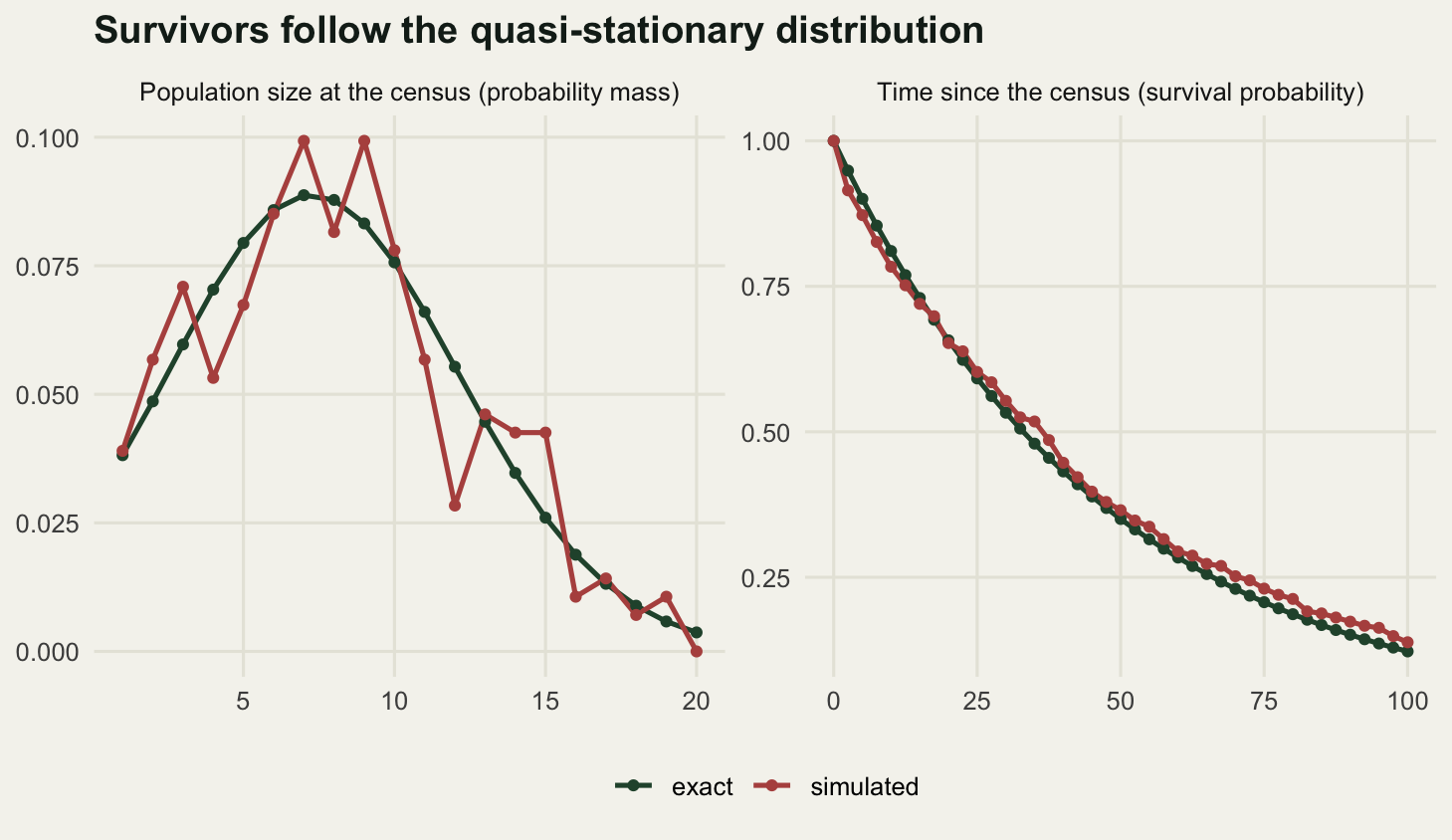 Two panels. The left panel shows a single-humped distribution peaking near population size seven and falling away to nothing by about twenty, with the simulated series tracking the exact curve but visibly ragged. The right panel shows a smooth convex decay from one at time zero down to roughly a tenth by time one hundred: steepest right at the start and flattening as it goes, with the two series lying almost on top of each other throughout.