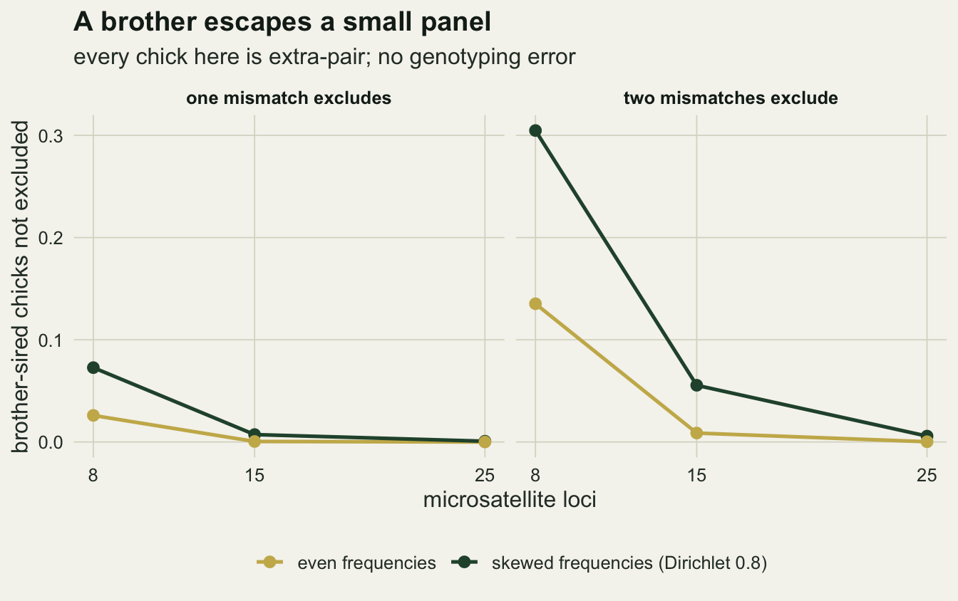 Two side-by-side panels on warm off-white paper for the one and two mismatch rules, showing the fraction of brother-sired chicks not excluded against 8, 15 and 25 microsatellite loci. A dark green line for skewed allele frequencies lies above a gold line for even frequencies in both panels. In the two mismatch panel the green line starts at three tenths at 8 loci and the gold line at under a seventh, and both fall close to zero by 25 loci. In the one mismatch panel both lines start below a tenth and are near zero from 15 loci on.
