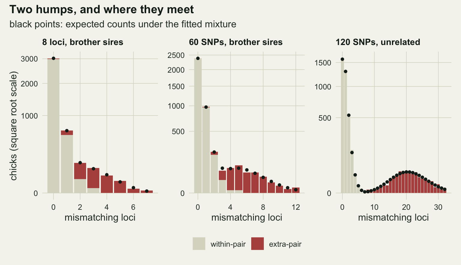 Three histograms side by side on warm off-white paper with a square root vertical scale; each bar is the total count of chicks at that number of mismatching loci, split into a grey within-pair part at the bottom and a red extra-pair part on top, with a black point for the count expected under the fitted mixture. In the left panel, 8 loci with brother sires, a grey bar of about 3000 at zero carries a thin red cap, red shares grow from one to three mismatches and bars from four to seven are all red; the points sit on or just beside the bar tops. In the middle panel, 60 SNPs with brother sires, grey bars dominate up to two mismatches, a little grey remains up to five, and red bars run to twelve, with the points close to the bar tops. In the right panel, 120 SNPs with unrelated sires, a tall grey pile at zero to five mismatches is separated by a near-empty gap from a red hump centred near twenty, and the points trace both humps closely.