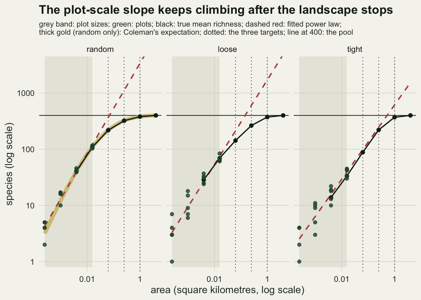 Three log-log panels on warm off-white paper, labelled random, loose and tight, with area in square kilometres from about 0.0002 to 4 on the horizontal axis and species from 1 to 3000 on the vertical axis. A grey band marks the plot sizes on the left of each panel, where green points show the richness of the twenty plots, rising from a few species to about a hundred. A dashed red fitted line runs straight through the plots and far past them, crossing a black horizontal line at 400 species well before 1 square kilometre in the random and loose panels and just before it in the tight panel. A solid black curve of true mean richness bends over and flattens onto the 400 line. In the random panel a thick gold curve for Coleman's expectation lies under the black curve and the plot points. Three dotted vertical lines mark the targets.