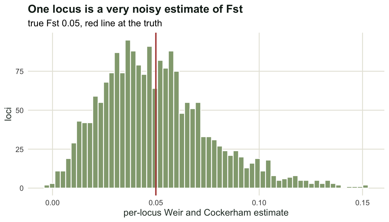 Right-skewed histogram of per-locus Fst estimates centred just below 0.05, with a solid line at the true value, a small tail of negative values and a long tail reaching past 0.15.