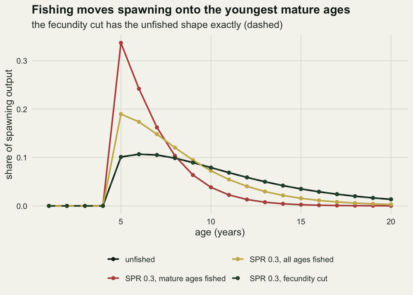 A line chart with points of the share of spawning output contributed by each age from one to twenty, on warm off-white paper. Ages one to four contribute nothing. The near-black unfished line jumps to about one tenth at age five, stays near that level to age eight and then declines slowly to just over one hundredth at age twenty; a dark green dashed line for the fecundity cut lies exactly on top of it. A rust line for mature-only fishing to SPR 0.3 spikes to about 0.34 at age five, falls to about 0.16 by age seven and is near zero beyond age fourteen. A gold line for all-ages fishing to the same SPR peaks at about 0.19 at age five and declines between the other two.