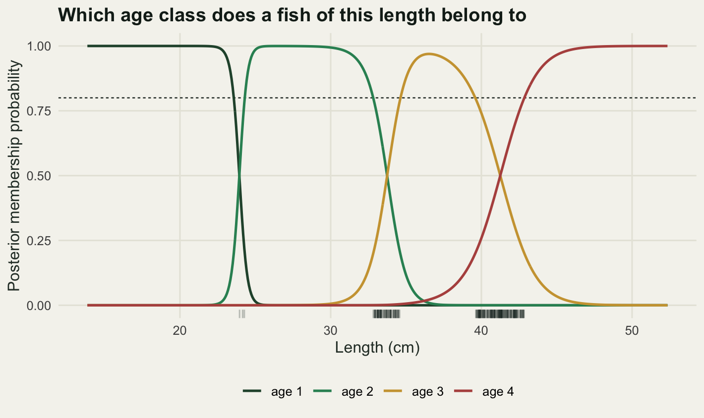 Four curves rise and fall in sequence from left to right. The age 1 curve is flat at one across the short lengths then drops almost vertically to zero; age 2 rises just as sharply, holds a flat top, then falls away more gradually; age 3 never reaches the top of the panel, forming a rounded peak that clears the dotted line but stops short of one; age 4 rises last and levels off at one at the longest lengths. The rug marks along the bottom form three tight clusters, one narrow and two much wider, under the three crossing points.
