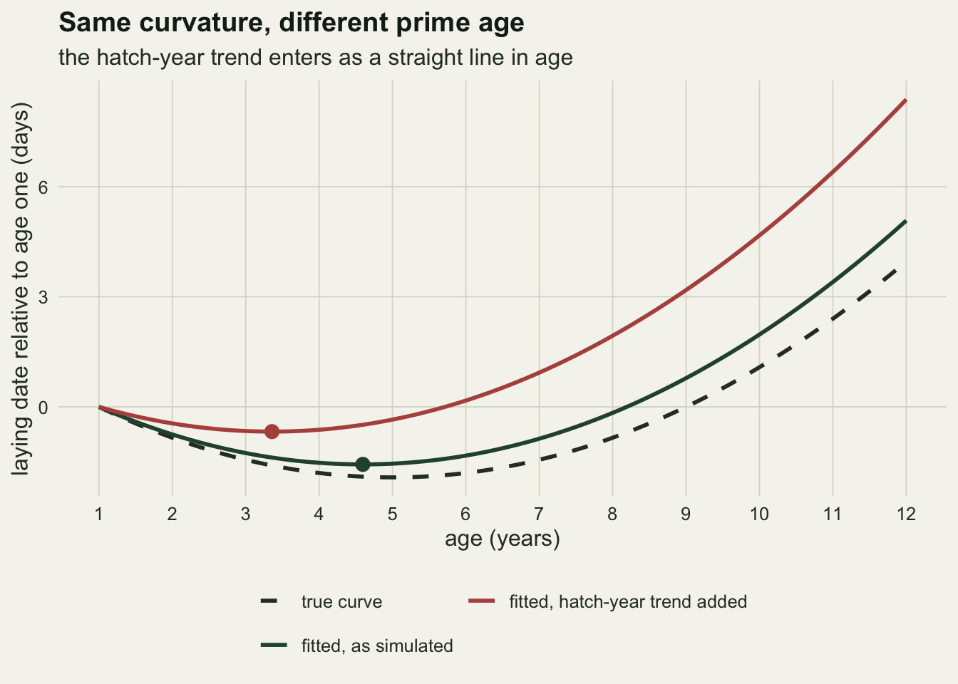 A line chart of laying date relative to age one, in days, against age from 1 to 12. A dashed dark true curve dips to about minus 1.9 near age five and rises to about 4 at age twelve. A green fitted curve follows it closely, with a dot at its minimum near age 4.6, and ends near 5 at age twelve. A rust curve for the same data with the hatch-year trend added has the same bend but tilts upward: its minimum, marked by a dot near age 3.4, is only about minus 0.7, and it ends near 8.4 at age twelve.