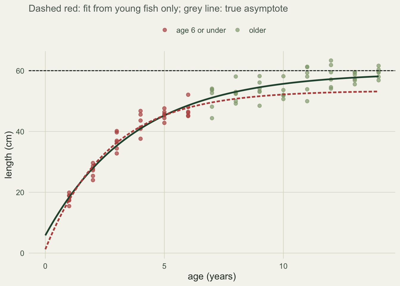 Length at age scatter with a full von Bertalanffy curve reaching the asymptote, and a young-fish-only curve whose extrapolated asymptote sits far above the data with a wide error bar.