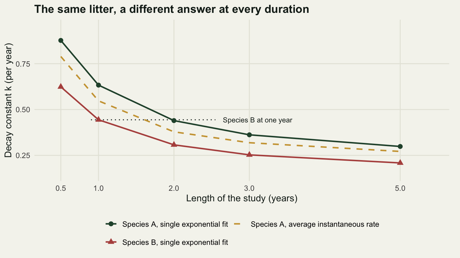 A chart with study duration in years on the horizontal axis at half a year, one, two, three and five years, and the fitted decay constant on the vertical axis from about zero point two to about zero point nine. Two solid lines with points fall steeply and then flatten: a dark green line for species A starting near zero point eight eight and ending near zero point three, and a red-brown line for species B starting near zero point six two and ending near zero point two one. A gold dashed line of the same shape lies between them, marking the average instantaneous rate of the true species A curve. A short horizontal dotted segment at about zero point four four, labelled species B at one year, meets the species A line at two years.