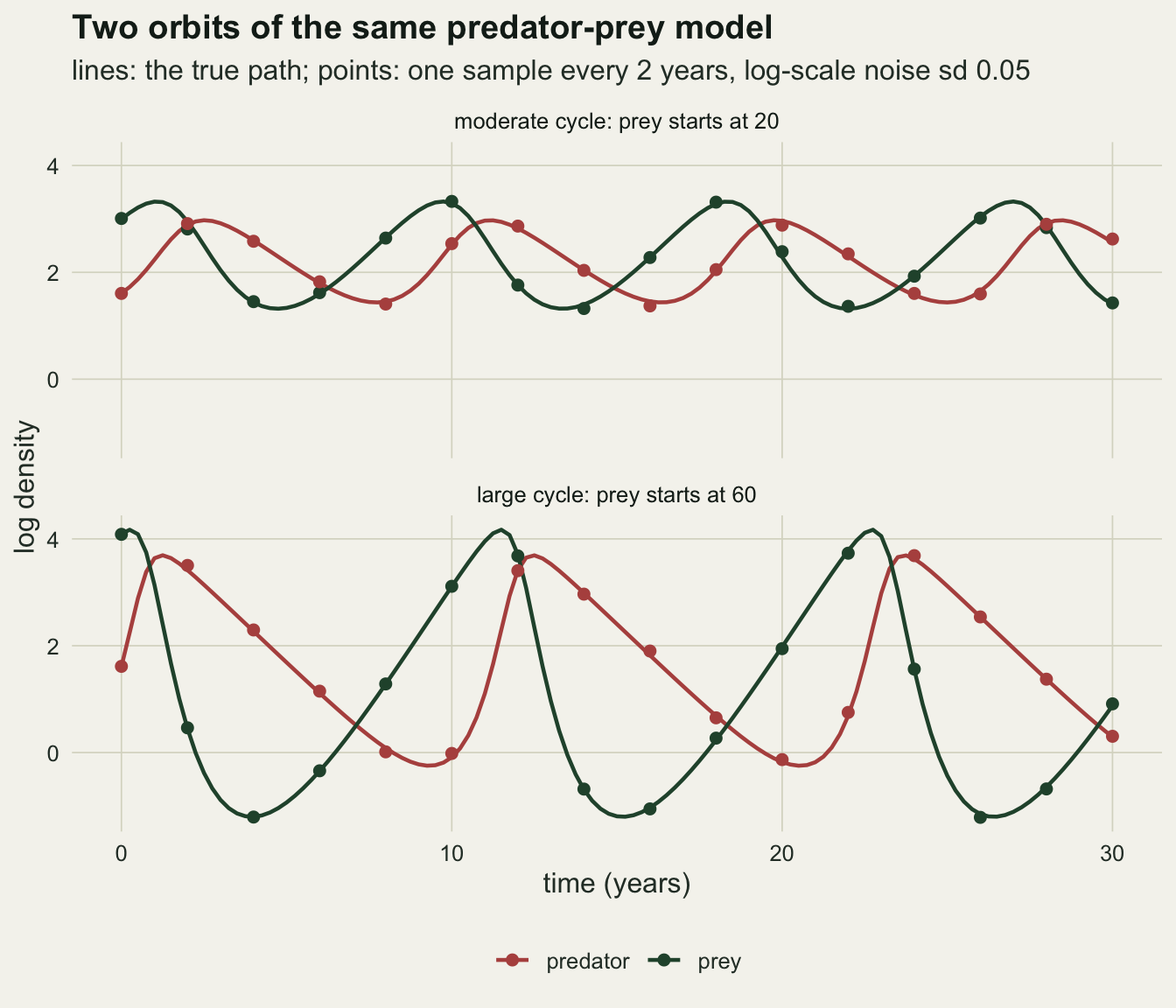 Two stacked line-chart panels on warm off-white paper of log density against time from 0 to 30 years, dark green lines for prey and red lines for predator, with points every two years sitting on the lines. In the top panel, the moderate cycle with prey starting at 20, prey swings between about 1.3 and 3.3 and predator between about 1.4 and 3.0, with prey peaks near years 1, 10, 18 and 27 and each predator peak a year or two later. In the bottom panel, the large cycle with prey starting at 60, prey swings between about minus 1.2 and 4.2 with sharp peaks near years 0, 11 and 23 and long rounded troughs, and the predator rises steeply after each prey peak to about 3.7 and then declines in a near straight line to about 0.