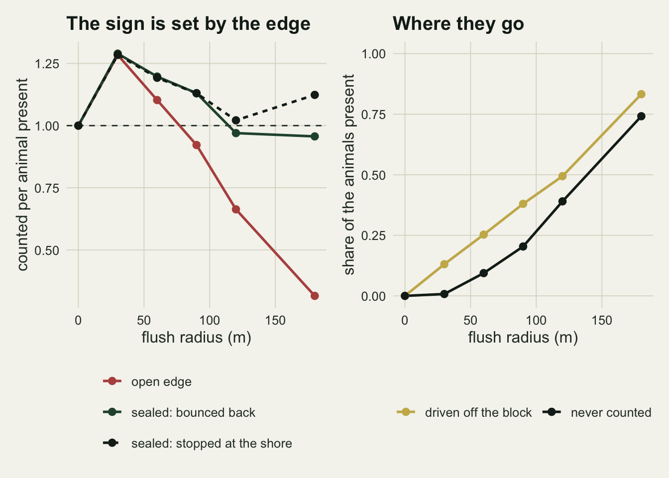 Two panels on warm off-white paper. The left panel plots counted animals per animal present against flush radius from zero to one hundred and eighty metres, with three lines that all start at one at a flush radius of zero and peak together at about one and three tenths at thirty metres. A red line for an open edge then falls steeply, crossing a dashed horizontal line at one between seventy and ninety metres and reaching about three tenths at the right edge. A solid dark green line for a sealed edge where the animals bounce back and a dashed black line for a sealed edge where they stop at the shore run on top of each other down to about one and one eighth at ninety metres, then separate: the green line drops just below the dashed one line at one hundred and twenty metres and stays there, while the black line turns up again to about one and one eighth. The right panel plots two rising curves for the open block: a gold curve for the share driven off the block reaching about eight tenths, and a black curve for the share never counted reaching about three quarters.