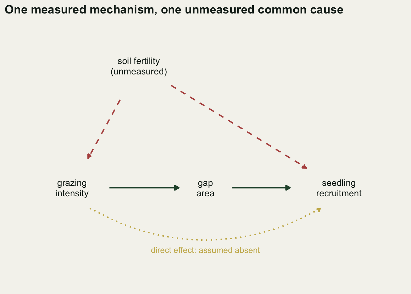 A directed graph on a warm off-white background. Three labelled nodes sit in a row: grazing intensity on the left, gap area in the centre, recruitment on the right, joined by two solid green arrows pointing rightwards. A fourth node, soil fertility marked unmeasured, sits high above and to the left of gap area, offset so that it is clearly not a parent of gap area, with two dashed red arrows running down to grazing intensity and diagonally across to recruitment. A dotted gold arrow curves beneath the row from grazing intensity to recruitment, labelled direct effect assumed absent.